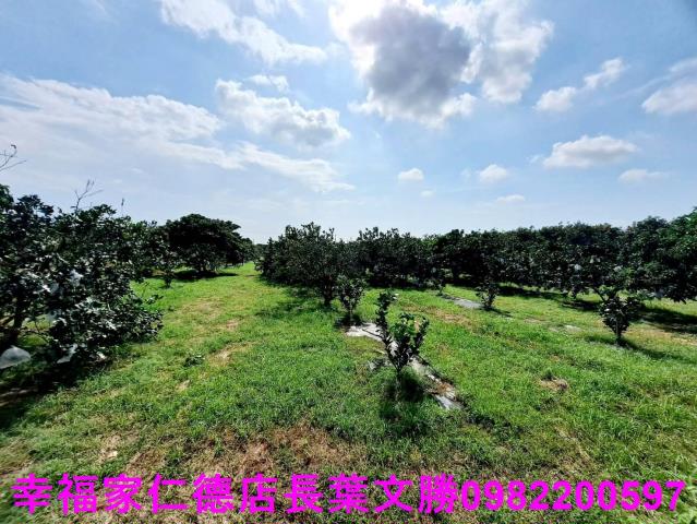 台南佳里農地-15