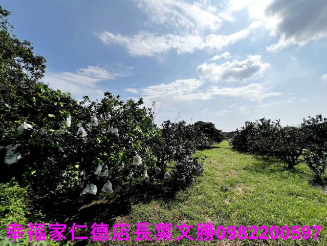 台南佳里農地-4