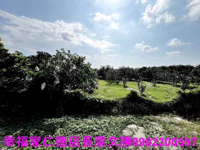 台南佳里農地-5