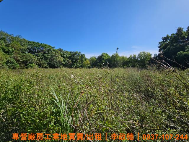 湖口農地-5