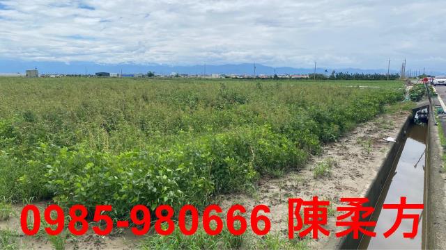 嘉義農地-14