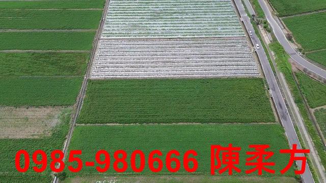 嘉義農地-3