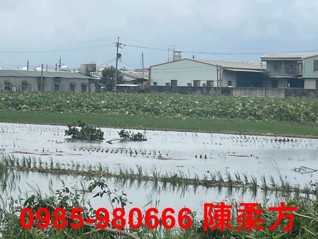 台南農地-3