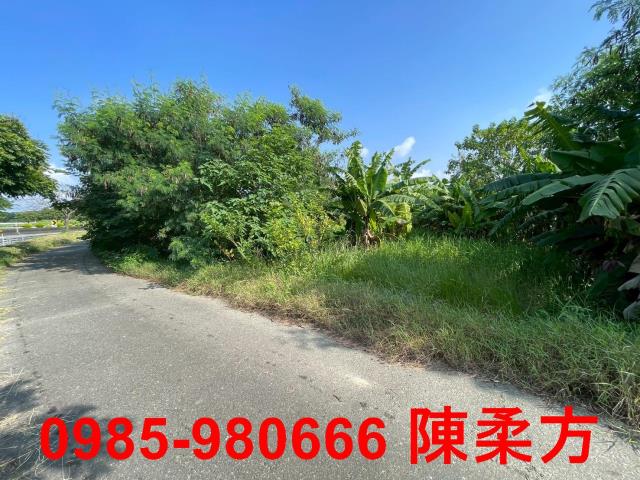嘉義農地-8