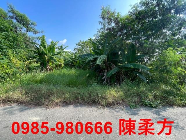 嘉義農地-9