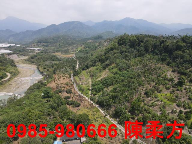 嘉義農地-11