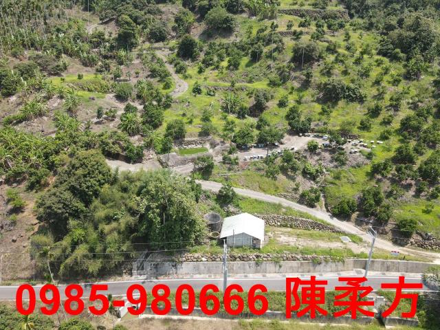 嘉義農地-6