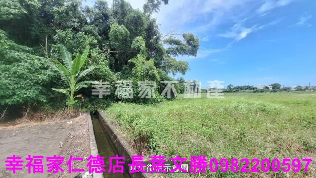 台南西港農地-8