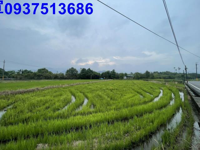 宜蘭農地-10