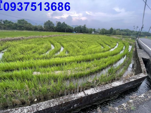 宜蘭農地-8