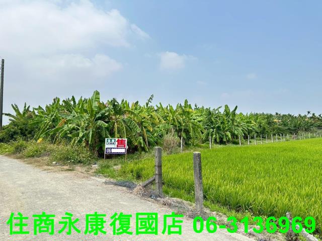 屏東農地-11