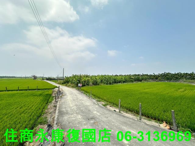 屏東農地-14