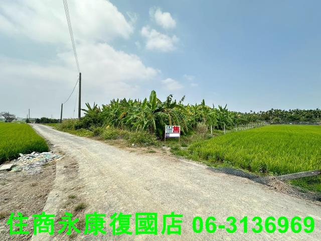 屏東農地-2