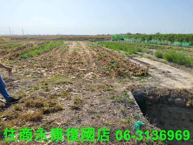台南佳里農地-3