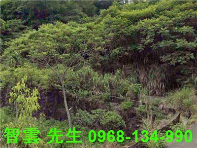 新北三峽工業地-1