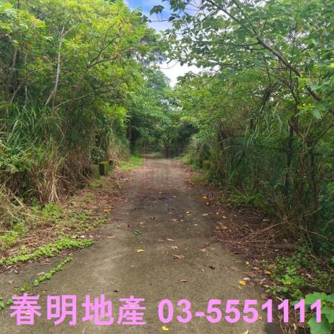 湖口農地-6