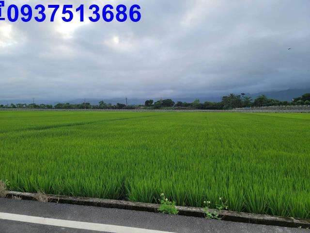 礁溪農地-3