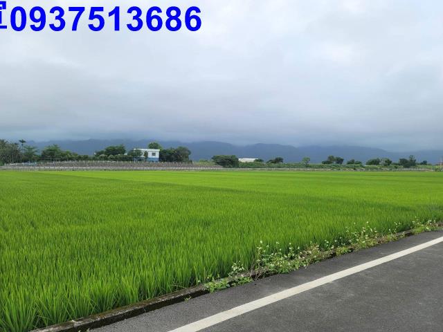 礁溪農地-9