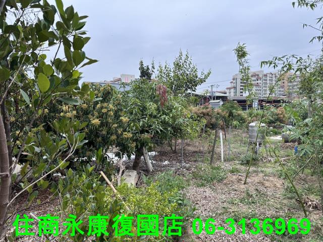 仁德農地-5