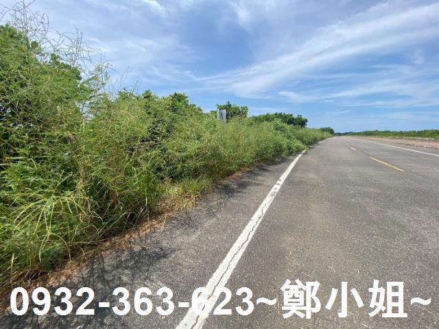 台南農地-6