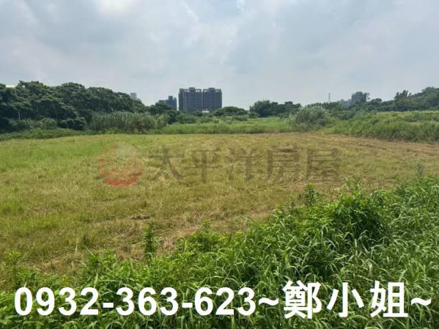 桃園農地-2