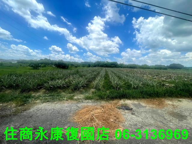 台南農地-2