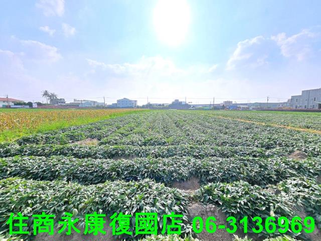 新化農地-4