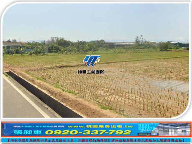 桃園農地-2