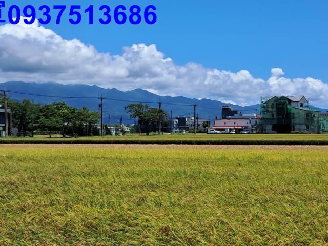 宜蘭農地-5