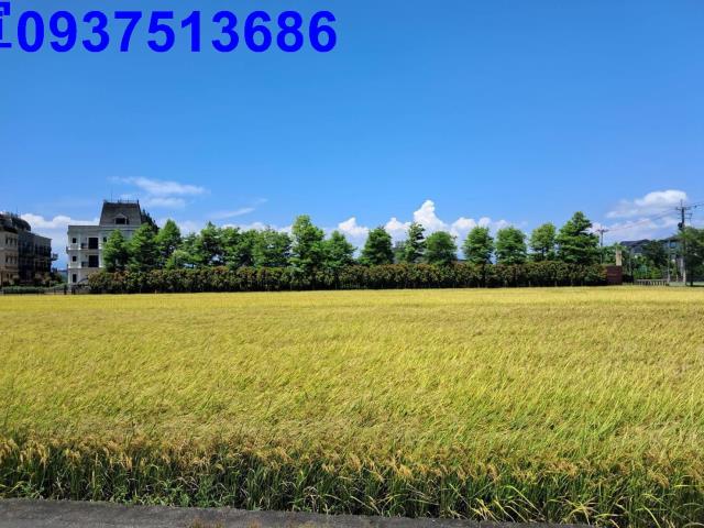 宜蘭農地-6