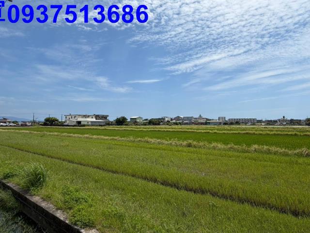 宜蘭農地-4