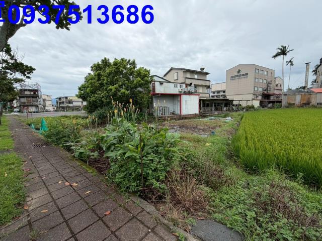 宜蘭宜蘭市農地-1