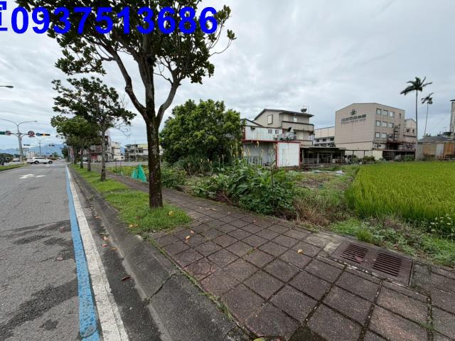 宜蘭宜蘭市農地-5