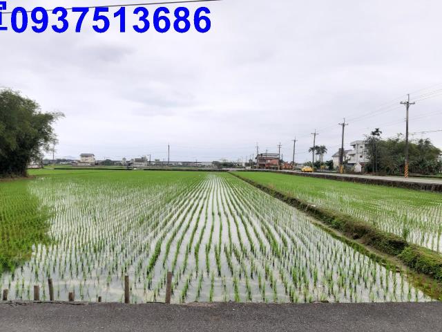 宜蘭礁溪農地-9