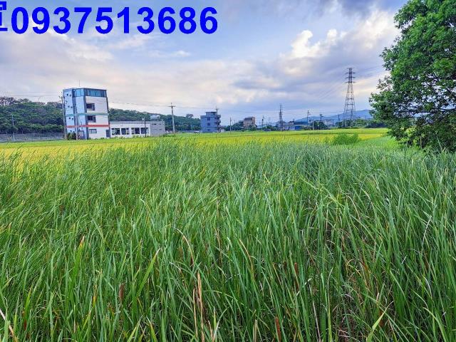 宜蘭礁溪農地-1