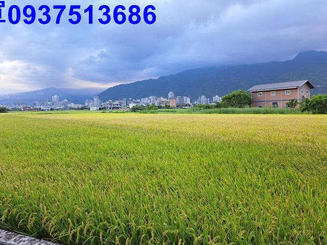 宜蘭礁溪農地-8
