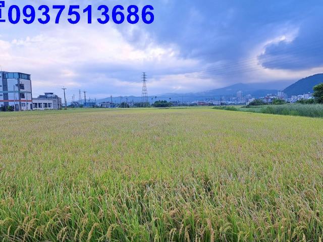 宜蘭礁溪農地-10