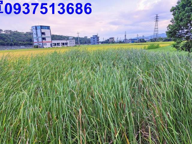 宜蘭礁溪農地-11