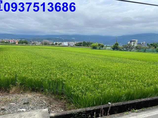 宜蘭礁溪農地-1