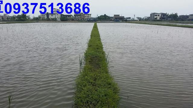宜蘭礁溪農地-8