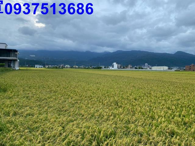 宜蘭礁溪農地-6