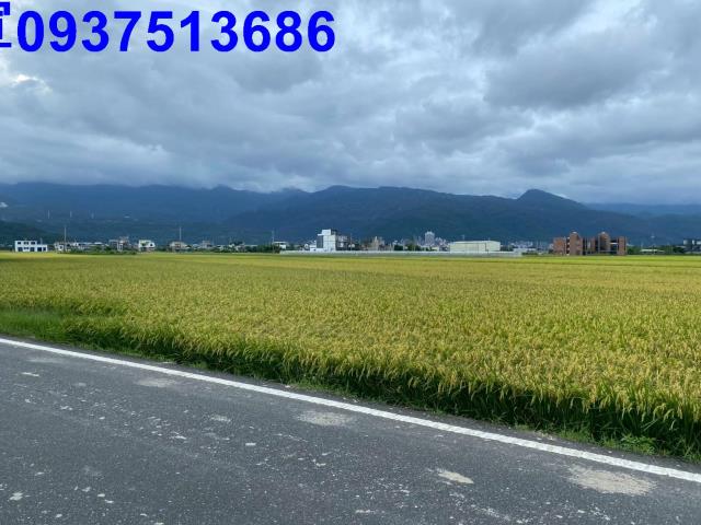 宜蘭礁溪農地-3