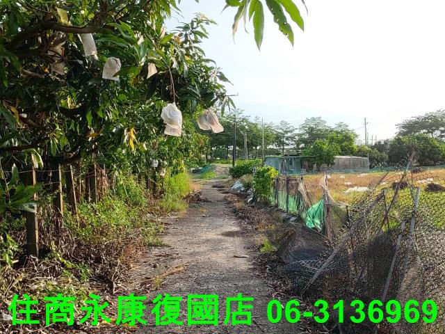 新化農地-12