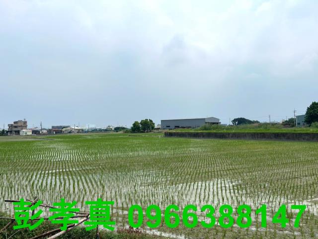 霧峰農地-12