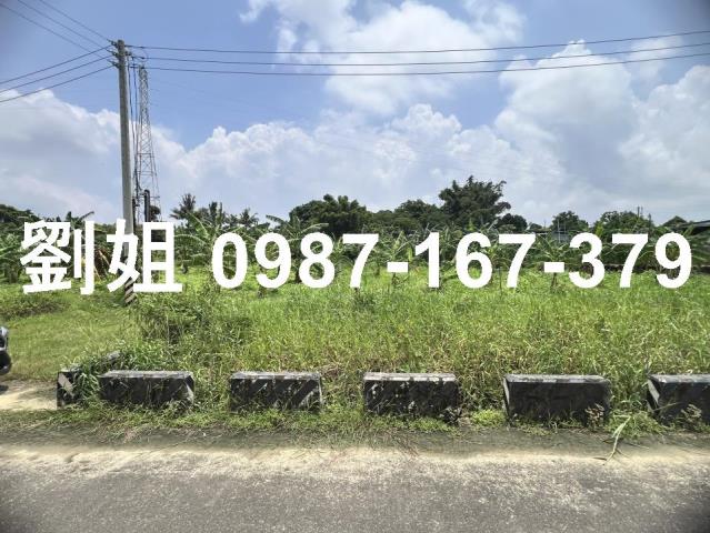燕巢農地-1