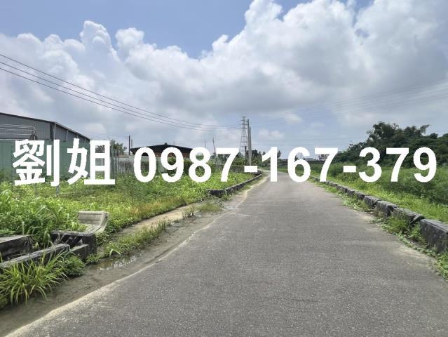燕巢農地-2