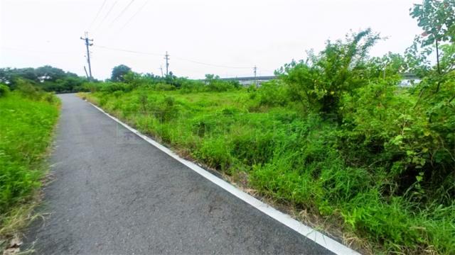 阿蓮農地-3