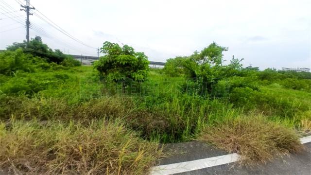 阿蓮農地-9
