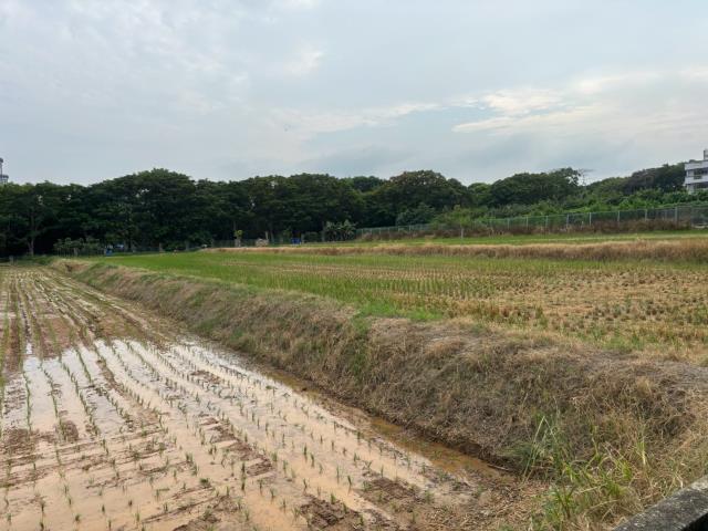 台中農地-1