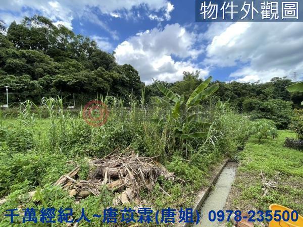 新竹橫山農地-4